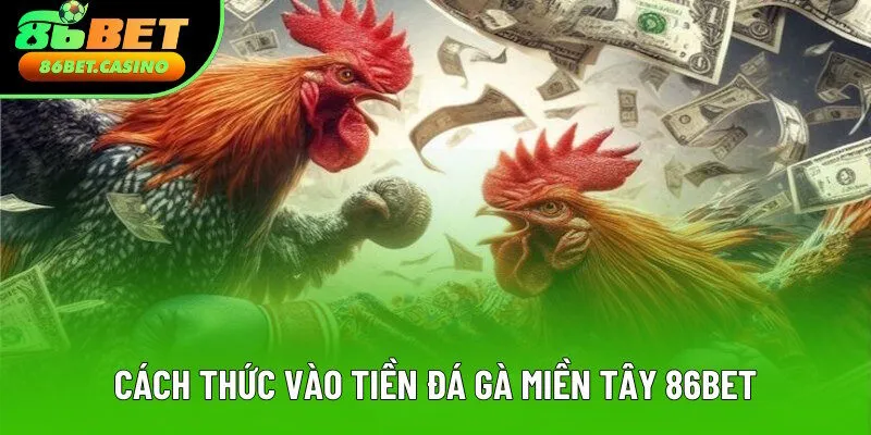 Cách vào tiền của kê chọi miền Tây Cách vào tiền của kê chọi miền Tây