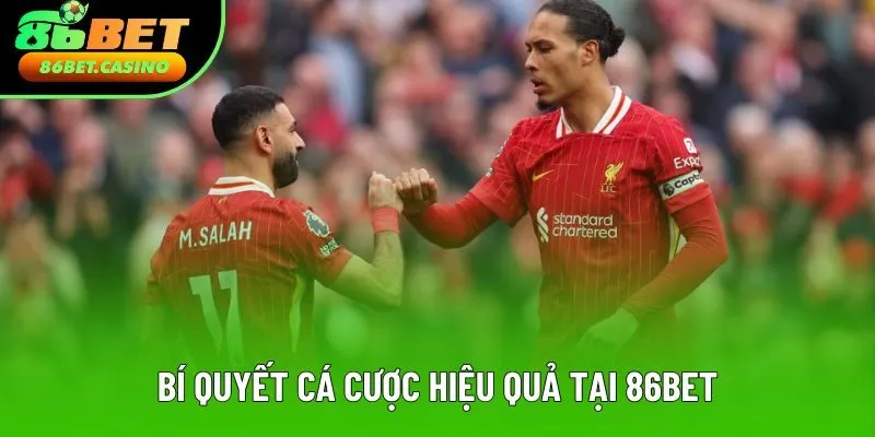 Bí quyết cá cược hiệu quả tại 86bet Bí quyết cá cược hiệu quả tại 86bet