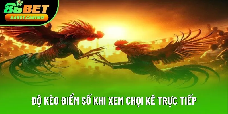 Kèo điểm số mang đến sự hồi hộp nhất định Kèo điểm số mang đến sự hồi hộp nhất định