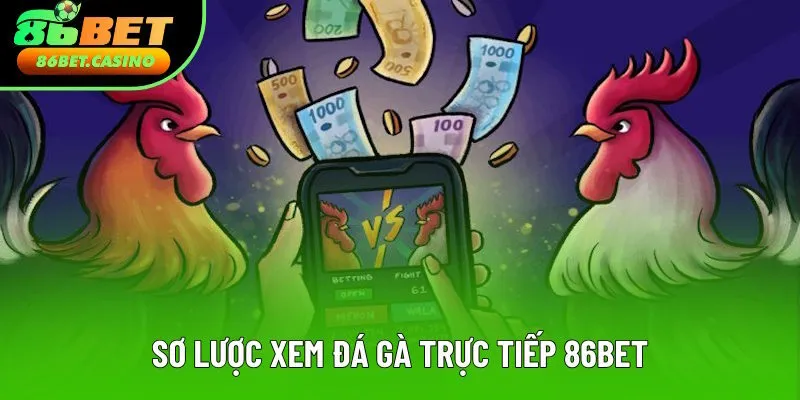 Diễn giải sơ lược về xem đá gà trực tiếp 86bet Diễn giải sơ lược về xem đá gà trực tiếp 86bet