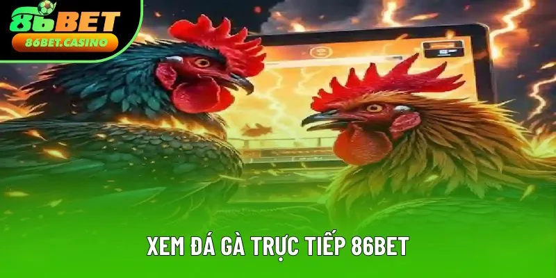 Xem Đá Gà Trực Tiếp 86bet Chất Lượng Cao Trong Năm 2025